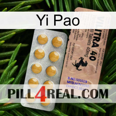 Yi Pao 41